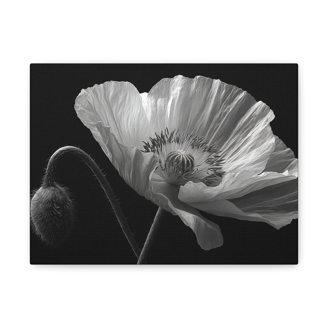 Tableau Noir & Blanc Coquelicot
