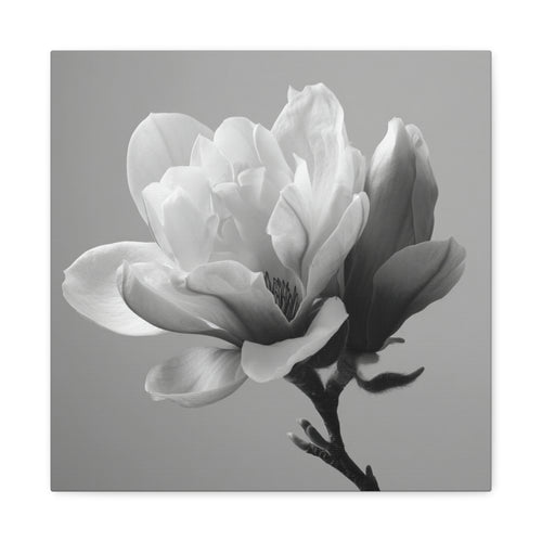 Tableaux Noir et Blanc