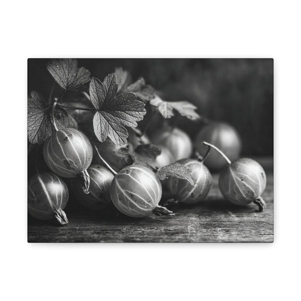Tableau Noir & Blanc Groseille