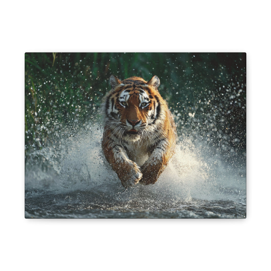 Tableau Tigre - Plongeon dans la Rivière