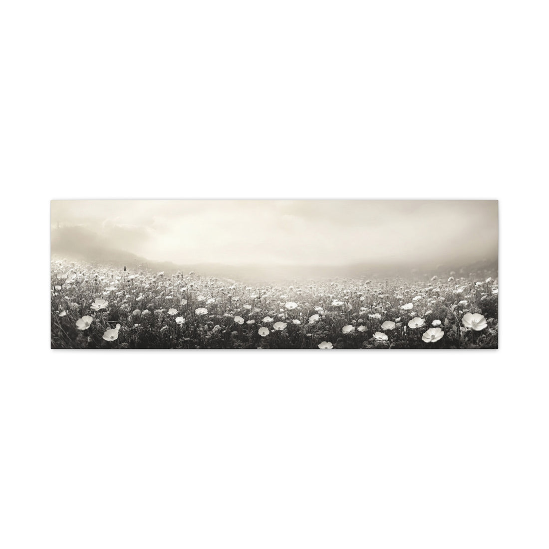 Tableau Panoramique Fleurs Noir Et Blanc
