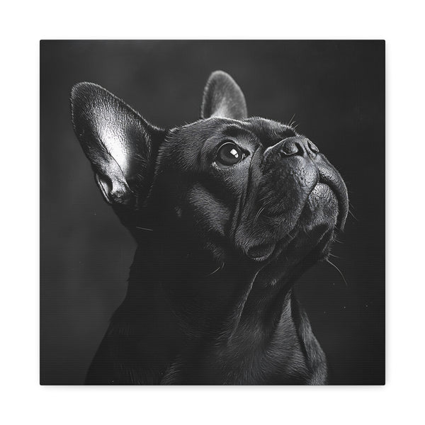 Tableau Bouledogue Français Noir & Blanc