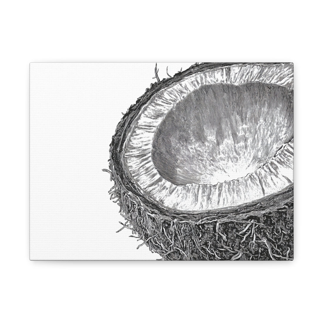 Tableau Noir & Blanc Noix de Coco