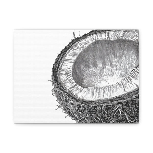 Tableau Noir & Blanc Noix de Coco