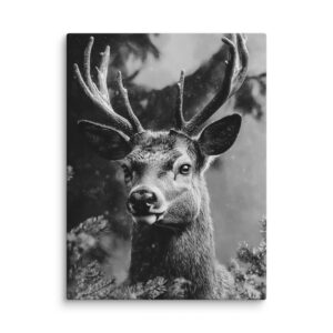 Tableau Cerf Noir & Blanc