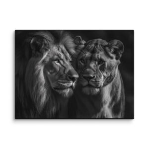 Tableau lion et lionne noir et blanc