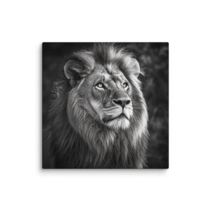 Tableau lion noir et blanc