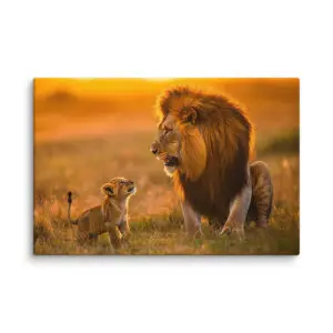 Tableau Lion et Lionceau