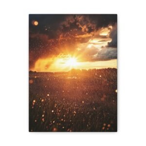 Tableau Coucher De Soleil & Pluie