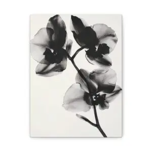 Tableau Orchidée Noire