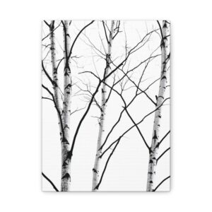 Tableau Arbre Scandinave