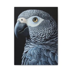 Tableau Perroquet Gris Du Gabon