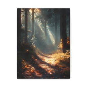 Tableau Coucher De Soleil En Foret