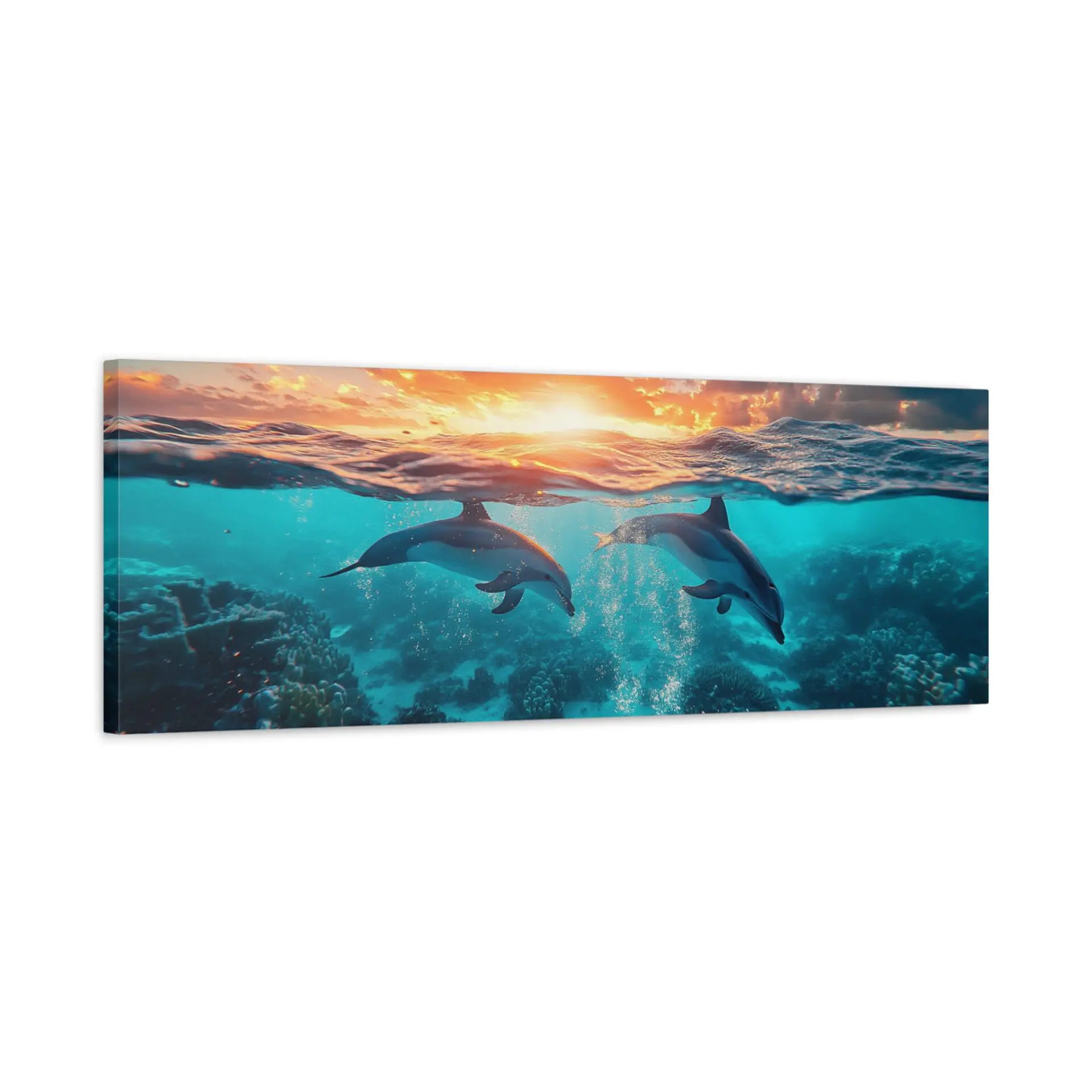 Tableau Panoramique Dauphin