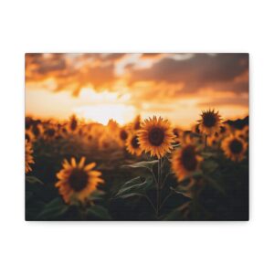 Tableau Coucher de Soleil & Tournesols