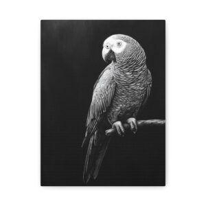Tableau de Perroquet Noir & Blanc