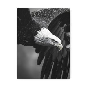 Tableau Aigle Noir & Blanc