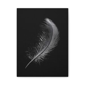 Tableau Plume Noir & Blanc