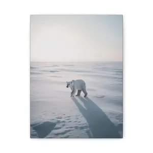 Tableau Ours Polaire