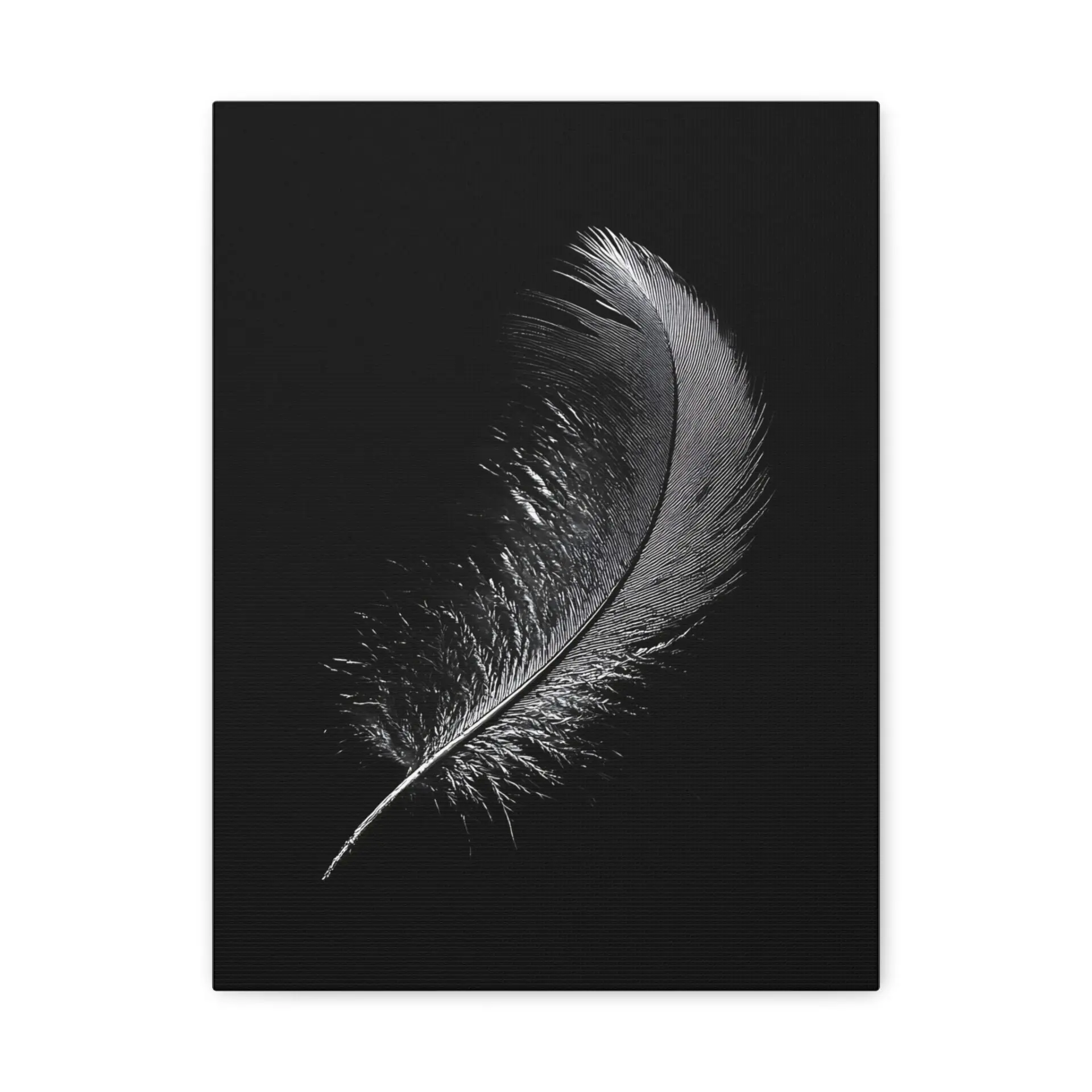 Tableau Plume Noir &; Blanc