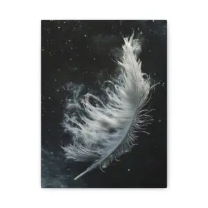 Tableau Plume Blanche
