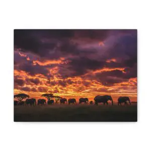 Tableau Coucher de Soleil Éléphants