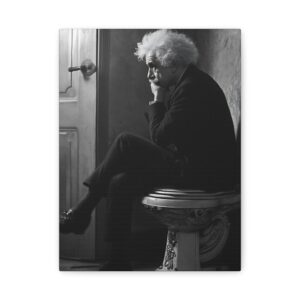 Tableau Einstein Toilette