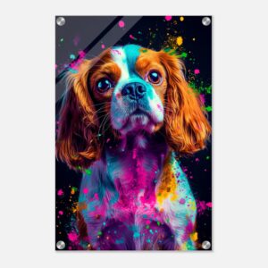 55c9a825-4def-49af-929b-8ad71941a572