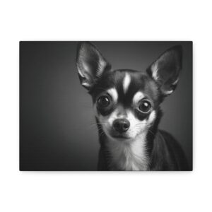 Tableau Noir & Blanc - Chihuahua