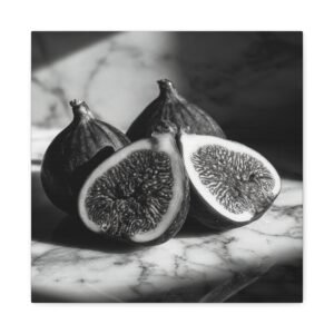 Tableau Noir & Blanc Figues