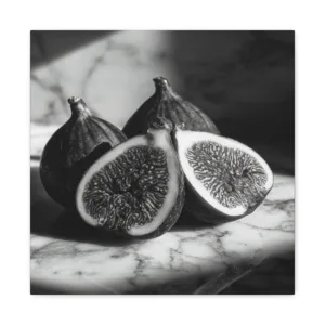 Tableau Noir & Blanc Figues