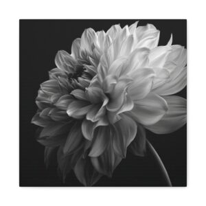 Tableau design Dalhia noir et blanc