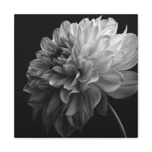Tableau design Dalhia noir et blanc