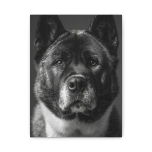 Tableau Noir & Blanc - Akita Americain