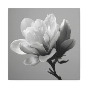 Tableau fleur Magnolia noir et blanc