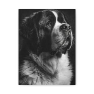 Tableau Noir & Blanc - Saint Bernard