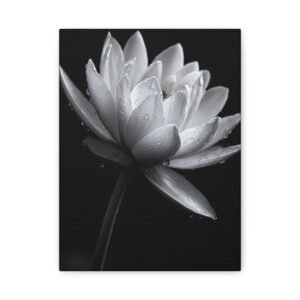 Tableau Noir & Blanc Lotus