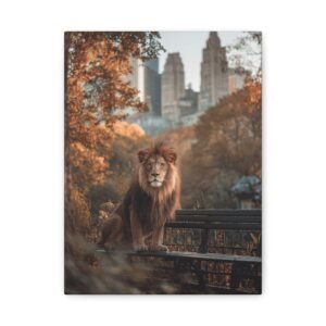 Tableau Lion - Trône sur un Banc Public