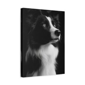Tableau Noir et Blanc - Border Collie