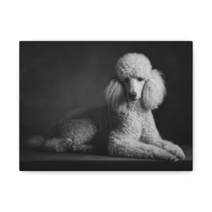 Tableau Noir & Blanc - Caniche