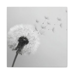 Tableau Noir & Blanc - Pissenlit