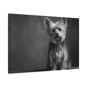 Tableau Noir et Blanc - Yorkshire Terrier