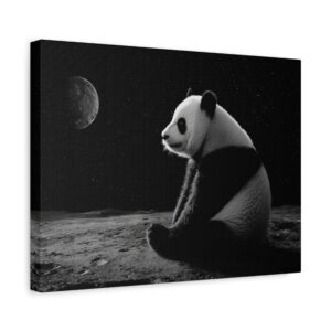 Tableau Noir & Blanc - Panda sur la lune