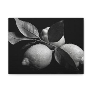 Tableau Noir & Blanc Citron