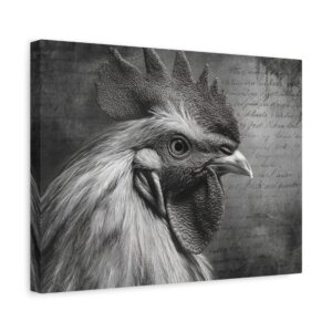 Tableau Noir et Blanc - vintage Poulet fermier