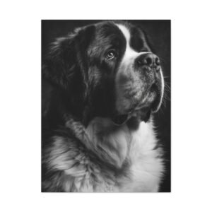 Tableau Noir et Blanc - Saint Bernard