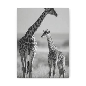 Tableau Noir & Blanc - Girafes & Girafeau