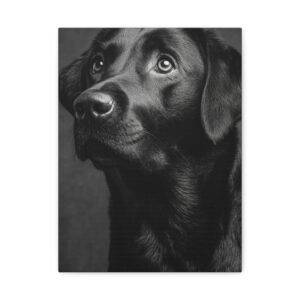 Tableau Noir et Blanc - Labrador Retriever