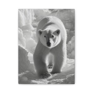 Tableau décoratif ours polaire Noir & Blanc