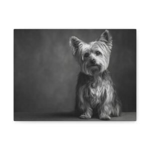 Tableau Noir & Blanc - Yorkshire Terrier